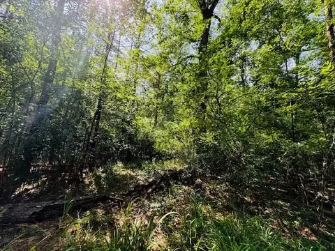 tbd Lee Dr, Bogue Chitto, MS 39629 photo 32