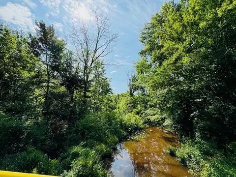 tbd Lee Dr, Bogue Chitto, MS 39629 photo 2