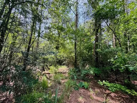 tbd Lee Dr, Bogue Chitto, MS 39629 photo 5
