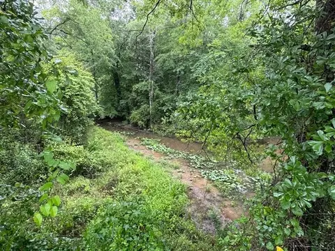 tbd Lee Dr, Bogue Chitto, MS 39629 photo 15