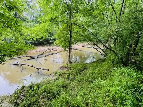 tbd Lee Dr, Bogue Chitto, MS 39629 photo 23