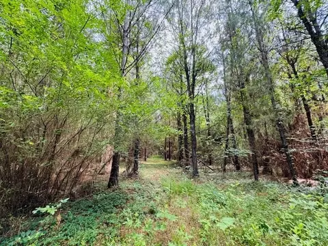tbd Lee Dr, Bogue Chitto, MS 39629 photo 37
