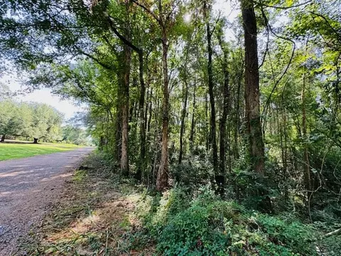 tbd Lee Dr, Bogue Chitto, MS 39629 photo 28