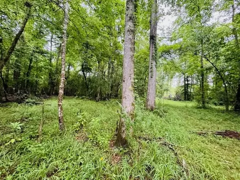 tbd Lee Dr, Bogue Chitto, MS 39629 photo 22