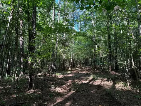 2831 Union Rd SE, Brookhaven, MS 39601 photo 24