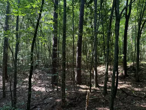 2831 Union Rd SE, Brookhaven, MS 39601 photo 35