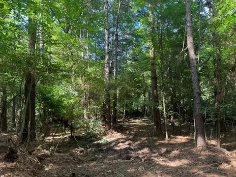 2831 Union Rd SE, Brookhaven, MS 39601 photo 33