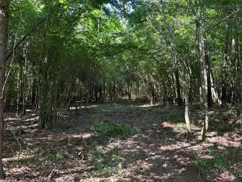 2831 Union Rd SE, Brookhaven, MS 39601 photo 30