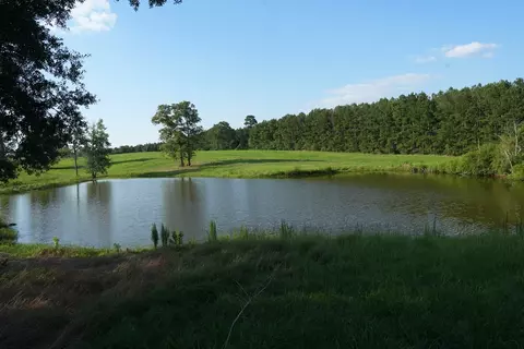 Xx2 Hwy 44, Summit, MS 39666 photo 4