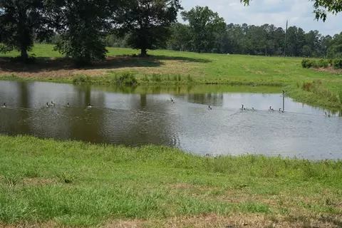 Xx2 Hwy 44, Summit, MS 39666 photo 22
