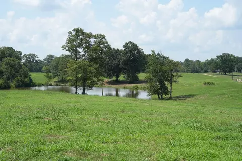Xx2 Hwy 44, Summit, MS 39666 photo 20