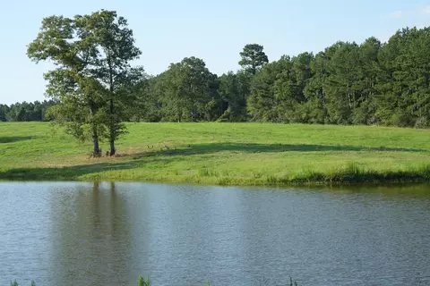 Xx2 Hwy 44, Summit, MS 39666 photo 5