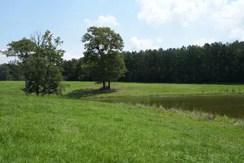 Xx2 Hwy 44, Summit, MS 39666 photo 15