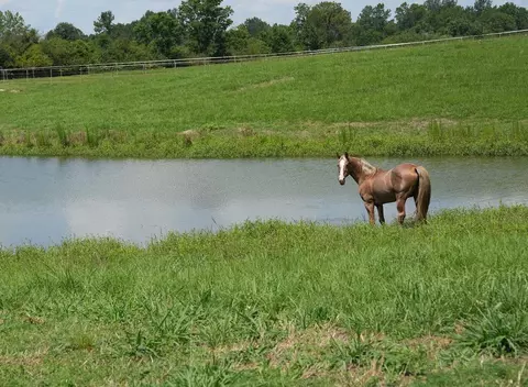 Xx2 Hwy 44, Summit, MS 39666