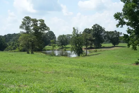 Xx2 Hwy 44, Summit, MS 39666 photo 19