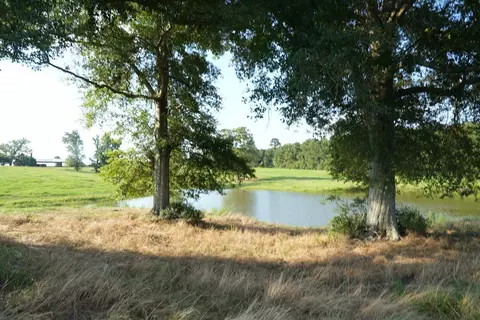 Xx2 Hwy 44, Summit, MS 39666 photo 25