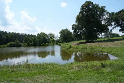 Xx2 Hwy 44, Summit, MS 39666 photo 16