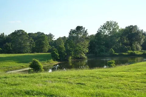 Xx3 Hwy 44, Summit, MS 39666 photo 2