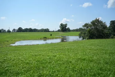 Xx3 Hwy 44, Summit, MS 39666 photo 6
