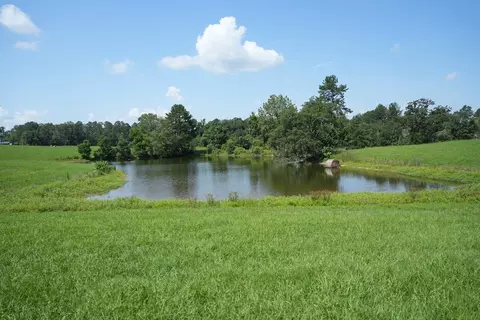 Xx3 Hwy 44, Summit, MS 39666 photo 8