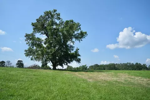 Xx3 Hwy 44, Summit, MS 39666 photo 16