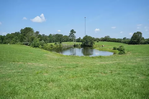Xx3 Hwy 44, Summit, MS 39666 photo 5