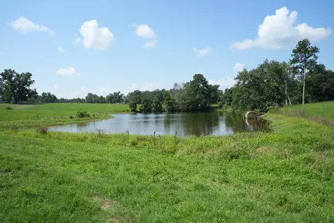 Xx3 Hwy 44, Summit, MS 39666 photo 18