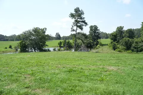 Xx3 Hwy 44, Summit, MS 39666 photo 21