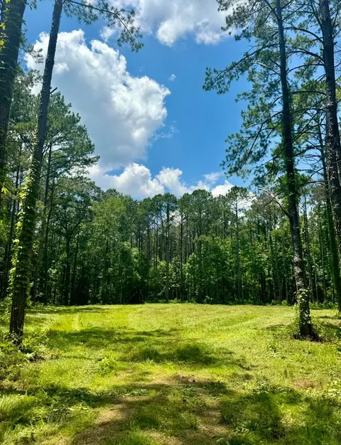 00 Lewis Ln, Meadville, MS 39653