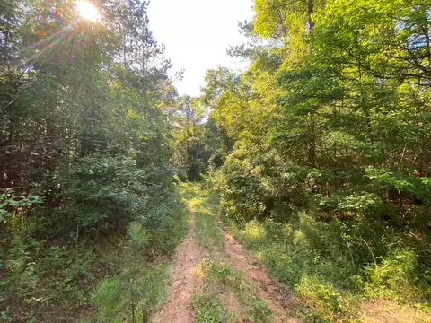 tbd Hwy 84, Monticello, MS 39654 photo 23