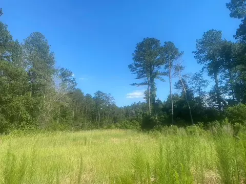 tbd Hwy 84, Monticello, MS 39654 photo 10