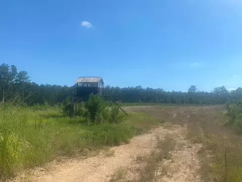 tbd Hwy 84, Monticello, MS 39654 photo 14