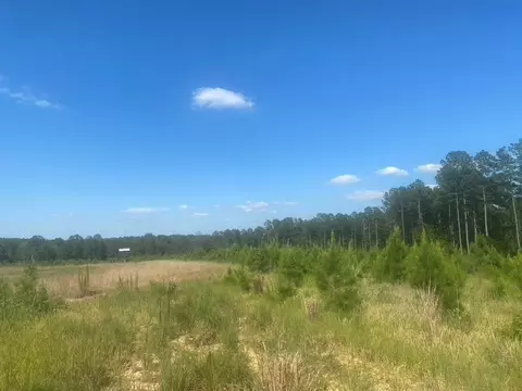 tbd Hwy 84, Monticello, MS 39654 photo 15