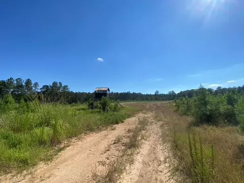 tbd Hwy 84, Monticello, MS 39654 photo 13