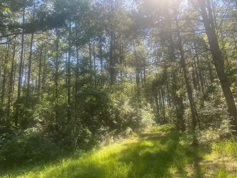 tbd Hwy 84, Monticello, MS 39654 photo 3