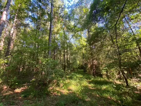 tbd Hwy 84, Monticello, MS 39654 photo 17
