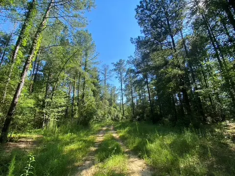 tbd Hwy 84, Monticello, MS 39654 photo 8