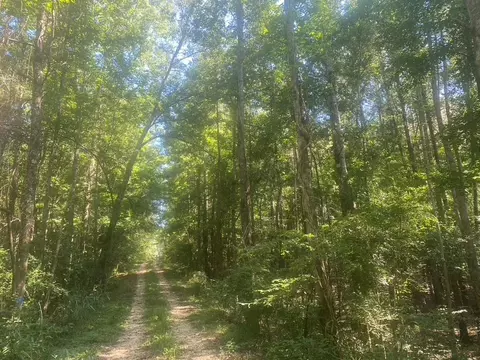 tbd Hwy 84, Monticello, MS 39654 photo 2