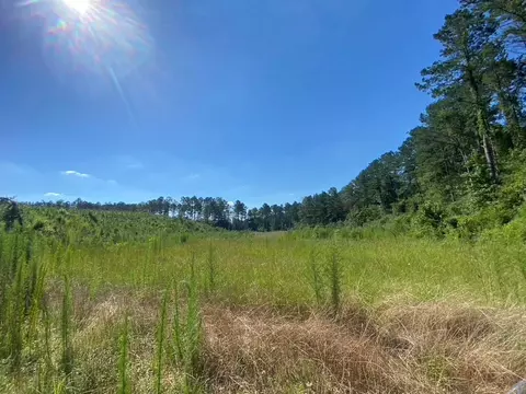 tbd Hwy 84, Monticello, MS 39654 photo 9