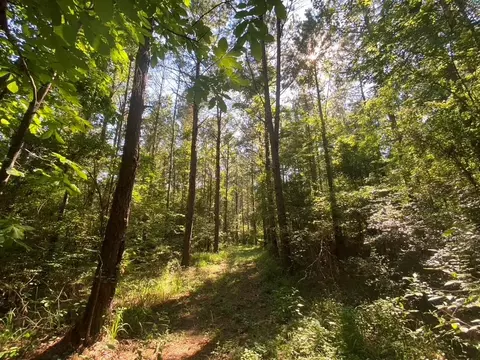 tbd Hwy 84, Monticello, MS 39654 photo 6