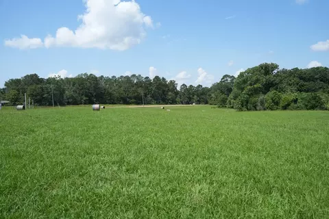 Xxx3 Hwy 44, Summit, MS 39666 photo 7