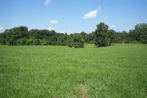 Xxx3 Hwy 44, Summit, MS 39666 photo 8