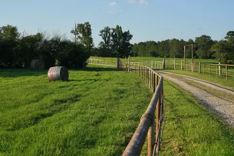 Xxx3 Hwy 44, Summit, MS 39666 photo 3