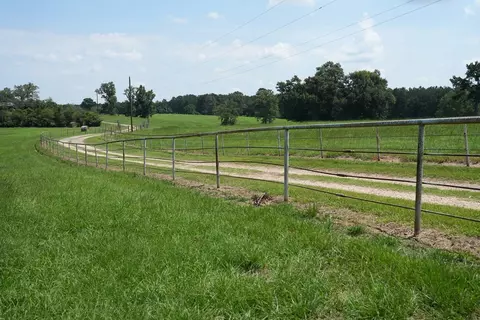 Xxx3 Hwy 44, Summit, MS 39666 photo 5