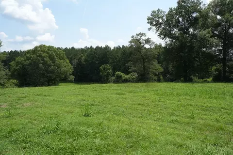Xxx5 Hwy 44, Summit, MS 39666 photo 10