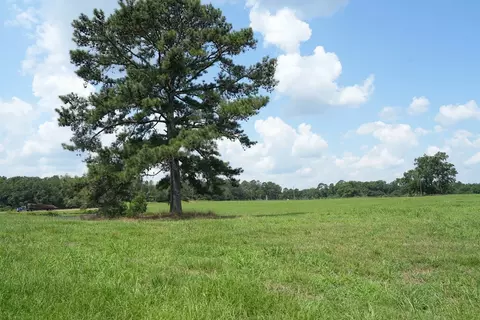 Xxx5 Hwy 44, Summit, MS 39666 photo 11