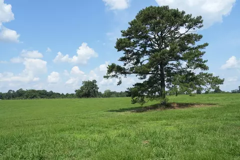 Xxx5 Hwy 44, Summit, MS 39666 photo 13