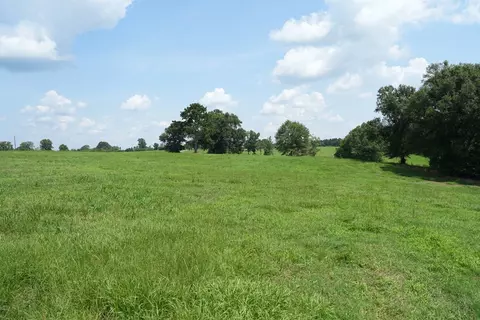 Xxx5 Hwy 44, Summit, MS 39666 photo 12