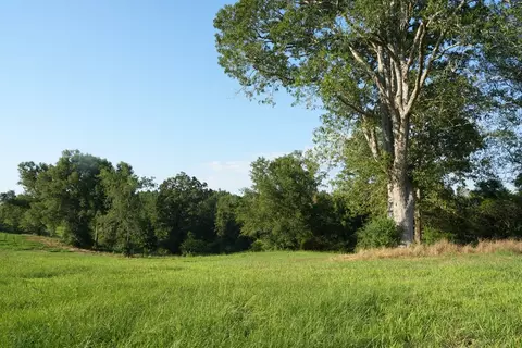 Xxx5 Hwy 44, Summit, MS 39666 photo 4