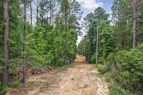 1 Cole Rd, Crosby, MS 39633 photo 19